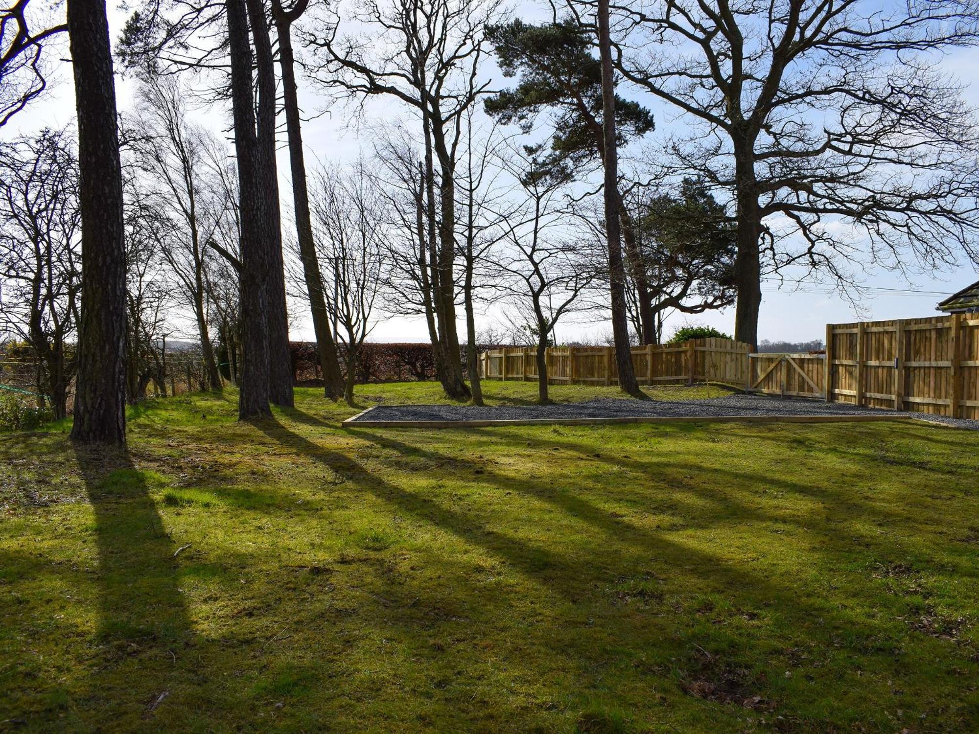 Pinewood Cabin Saline Dış mekan fotoğraf